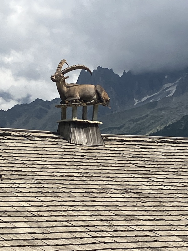 Chilling on the roof at Parc Merlet
