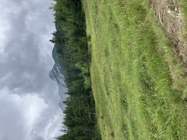 Climbing towards the alpage